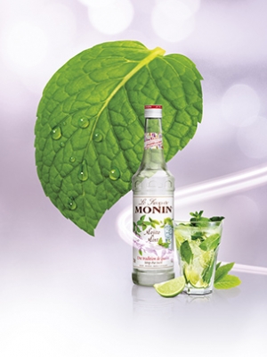 darniko-monin-mojito2 سیروپ موهیتو نعنا مونین